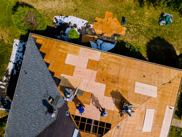 Best Metal Roofing Contractor  in Homeland, CA